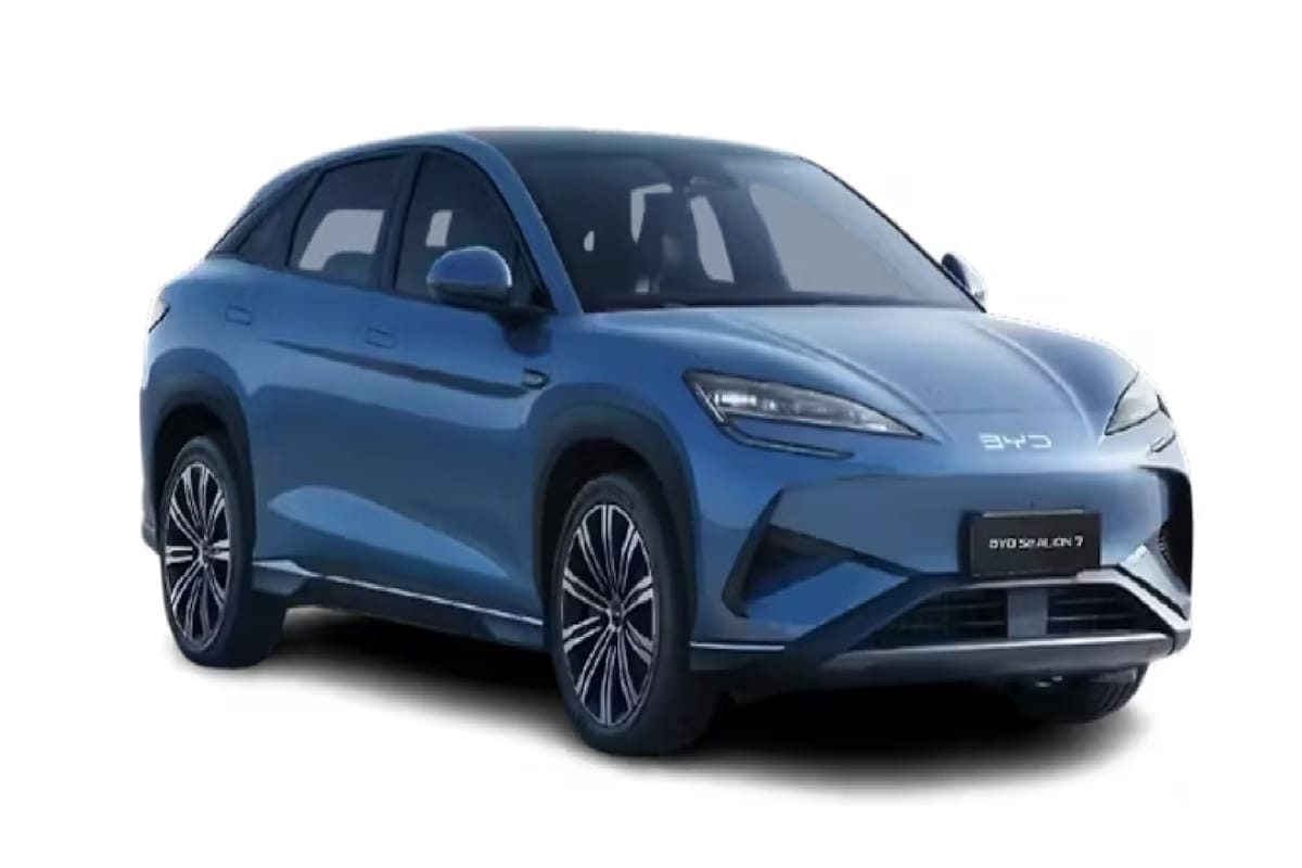 BYd Sea Lion