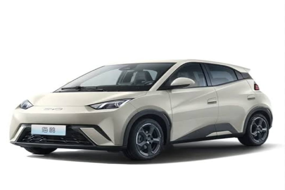 BYd Sea Gull
